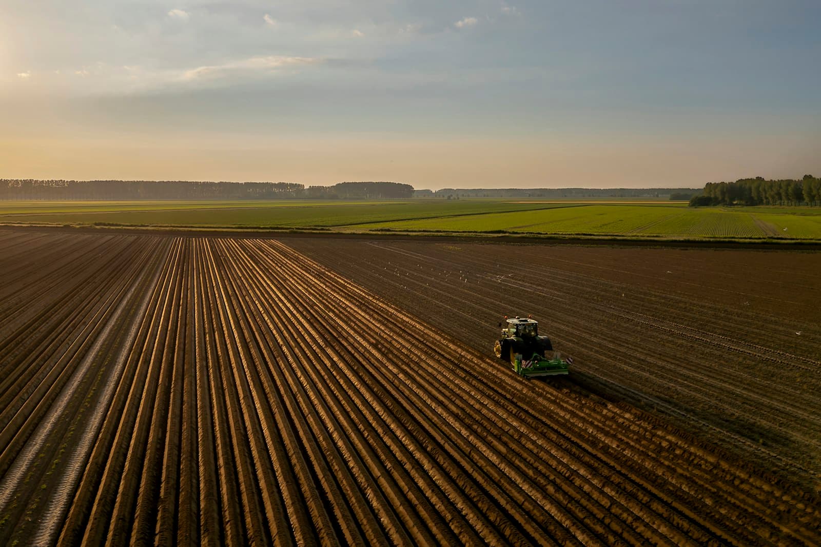 Vue aérienne d'un tracteur qui travaille un champ labouré en sillons au coucher du soleil